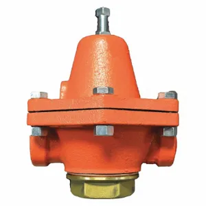 CASH VALVE BFDSSSZTS01-D0060 Pressure Regulator, 3/4 Inch Inlet Size, 3/4 Inch Outlet Size, 5 1/8 Inch Length | CJ3BDL 456Z80