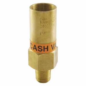 CASH VALVE C600MCBF-01N4 Pressure Regulator, 1/2 Inch Size, 136-235 PSI, Stainless Steel | CN3HJU