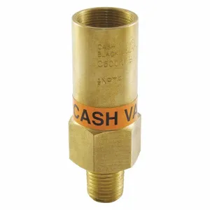 CASH VALVE C600MABT-01K0125 Safety Relief Valve, Brass, MNPT, FNPT, 1/8 Inch Inlet Size, 19/64 Inch Outlet Size | CJ3FTF 457A14