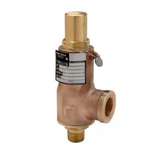 CASH VALVE C776BFDFK01-KM4 Safety Valve, 3/4 x 1 1 1/4 Inch Size, 47-58 PSI | CN3HNC