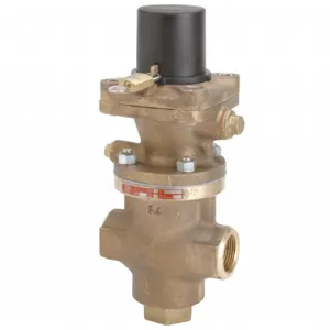 CASH VALVE GT1PG432BD Pressure Regulator, 2 Inch Size, 10-100 PSI | CN3MXV