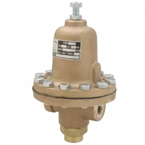 CASH VALVE LS2DSBS01-D3 Pressure Regulator, 3/4 Inch Size, 40-500 PSI, Buna-N, Steel, Teflon Seat | CN3NYU