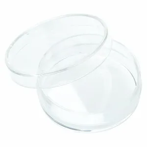 CELLTREAT 229635 Tissue Culture Treated Dish, 500 PK | CV4PTQ 48TD79