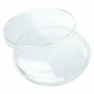 CELLTREAT 229692 Petri Dish, 300 Pack | CQ8LBU 48TD84