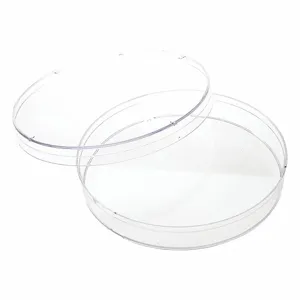 CELLTREAT 229695 Petri Dish, 500 Pack | CQ8LBX 48TD82