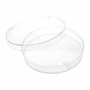 CELLTREAT 229697 Petri Dish, 500 Pack | CQ8LBW 48TD83