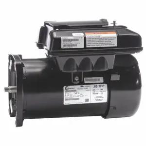 CENTURY ELV08SQ Pool And Spa Pump Motor, Square Flange Mounting, 17/20, 1/100 Hp, 1 Motor Service Factor | CQ8LXC 54YK89