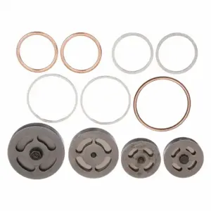 CHAMPION COOLER Z102 Valve Set w/Gaskets | CQ8PMD 22NN77