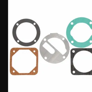 CHAMPION COOLER Z770 Pump Gasket Set | CQ8PVG 26DN03