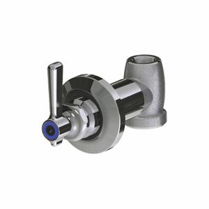 CHICAGO FAUCETS 770-369COLDABCP Wall Valve | CQ8TQA 21FY86