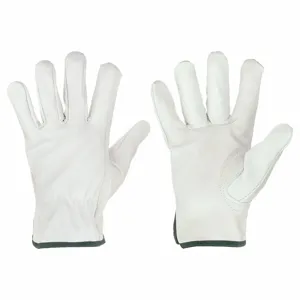 CONDOR 60NM47 Leather Drivers Gloves, Size M, Goatskin, Std, Glove, Full Finger, Keystone Thumb, 1 Pair | CR2CZG