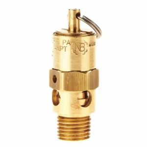 CONRADER 6304W-CE-125 Safety Valve, Hard Seat, 1/4 Inch MNPT Inlet, 1/4 Inch FNPT Outlet | CJ3FZB 60UJ84