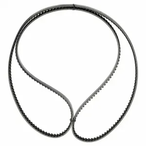 CONTINENTAL P-1600 Industrial Timing Belt, 64 mm Top Width, 8 mm Pitch, 1, 600 mm Pitch Length, 200 Teeth | CR2LCG 45PM24