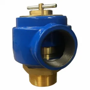 CONTROL DEVICES NBR30-0T010 Blower Relief Valve, Pressure/Vacuum, 10 PSI Preset Limit, 3 Inch NPT Inlet Size | CR2LTD 803HF8