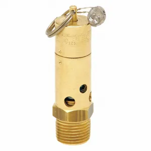 CONTROL DEVICES SB50-0A075 Air Safety Valve, Soft Seat, 1/2 Inch MNPT Inlet Size, 75 psi Preset Setting | CH9NZU 45MH20