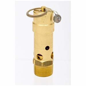 CONTROL DEVICES SB75-0A150 Soft Seat, 3/4 Inch Npt Inlet, 150 Psi Preset Setting, Brass, Silicon | CR2LUN 793PV2