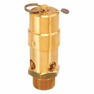 CONTROL DEVICES SW10-0A225 Air Safety Valve, Soft Seat, 1 Inch MNPT Inlet Size, 225 psi Preset Setting | CH9PCP 45MH46