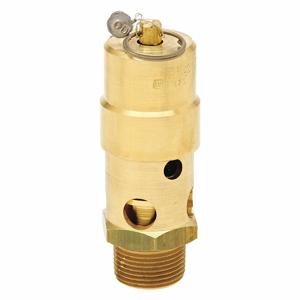 CONTROL DEVICES SW12-0A275 Air Safety Valve, Soft Seat, 1 1/4 Inch MNPT Inlet Size | CH9PCK 45MH60