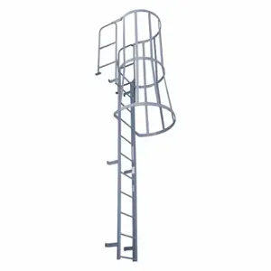 COTTERMAN F9WC C1 Fixed Ladder with Safety Cage, 11 ft 10 Inch, 8 ft Top Step Height, 9 Steps | CR2MXV 21VF33