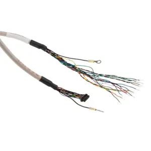 CUI DEVICES AMT-17C-1-072 Encoder Cable, 17-Pin Connector To Pigtail, Shielded, Twisted Pair, 6 ft. Cable Length | CV7EEE