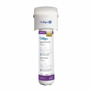 CULLIGAN IC-EZ-1 Quick Connect Filter, 5 Micron, 0.5 Gpm, 3000 Gal, 12 Inch Height | CR2TQW 29AH59