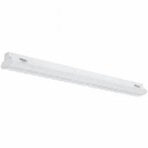 DAYBRITE FSIWG4 Wire Guard, FluxStream Industrial, White, Wire Guard, 4 ft Nominal Length | CR2WNT 60VD36