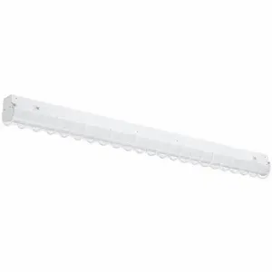 DAYBRITE FSSWG4 Wire Guard, FluxSteam Strip, White, Wire Guard, 4 ft Nominal Length | CR2WNR 60VD34