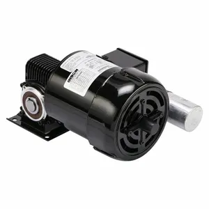 DAYTON 026-756-1205 AC Gearmotor, Right Angle, Single Output Shaft, Keyed, PSC, TEFC, 330 RPM, 0.25 hp Input | CR2WQH 40AW59