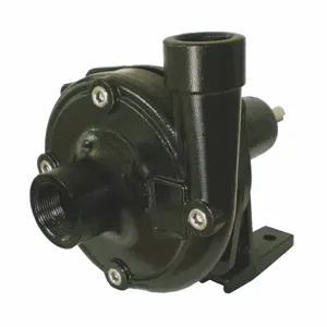 DAYTON 10X672 Centrifugal Pump Head 5 Hp Cast Iron | AA2PVR