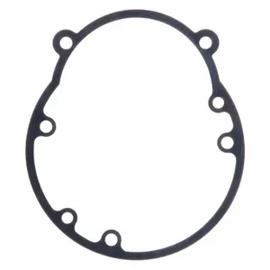 DAYTON 127-200-0080 Gasket, 127-200-0080, Gasket | CR2WVV 24UX79