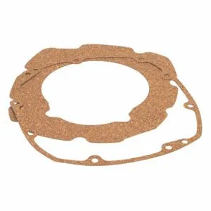 DAYTON 127-484-0100 Gasket | AH2BXA 24UP63