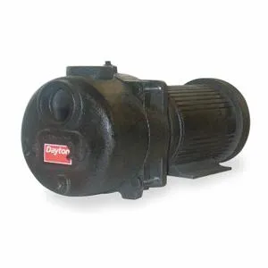 DAYTON 12N808 Sewage/trash Pump 10 Hp | AA4JCF