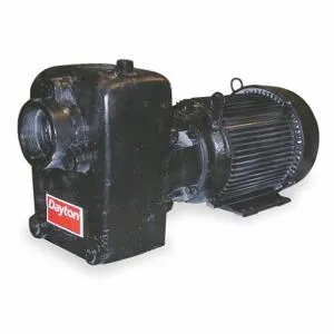 DAYTON 12N812 Centrifugal Pump Self-priming 5 Hp Ci | AA4JCK