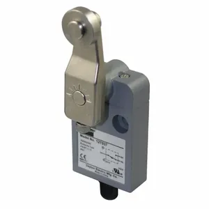 DAYTON 12T937 Miniature Limit Switch Side Actuator Spdt | AA4LNR