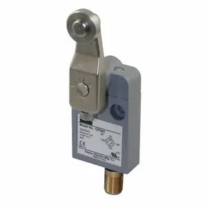 DAYTON 12T943 Miniature Limit Switch Side Actuator Spdt | AA4LNY