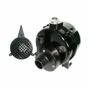 DAYTON 12U596 Pump Submersible 1/90HP | AA4MHL