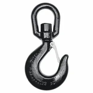 DAYTON 1DNJ1 Slip Hook Alloy Steel G80 10000 Lb. | AA9KFZ