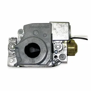 DAYTON 1FEK1 Natural Gas Valve | AA9UKR