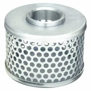 DAYTON 1P690 Suction Strainer 6 Diameter 2 Npt Side Round Perforations | AB2VRJ