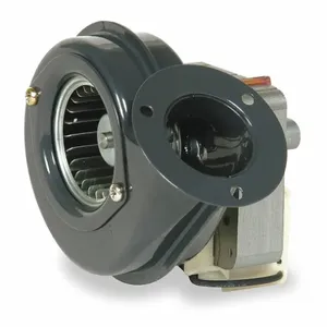 DAYTON 1TDN1 Blower 13 Cfm 115v 0.29a 3394 Rpm | AB3HBA