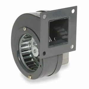 DAYTON 1TDN3 Blower 30 Cfm 115v 0.51a 3233 Rpm | AB3HBC