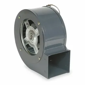 DAYTON 1TDP4 Blower 71 Cfm 115v 0.50a 1580 Rpm | AB3HBN