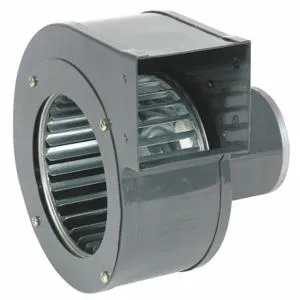 DAYTON 1TDP9 Blower 174 Cfm 115v 0.60a 1650 Rpm | AB3HBU