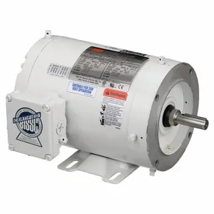 DAYTON 1TRZ8 Washdown Motor 3-phase Tenv 3/4 Hp 3450 Rpm | AB3JHC