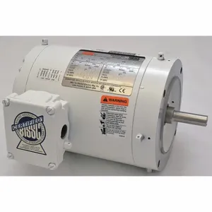 DAYTON 1TTB1 Washdown Motor 3-phase Tenv 1/3 Hp 1725 Rpm | AB3JHJ