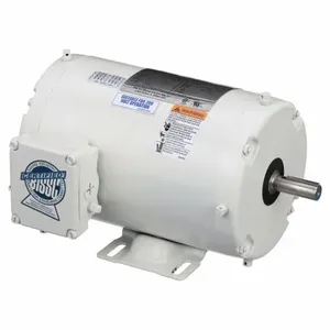 DAYTON 1TTC1 Washdown Motor 3-phase Tenv 1 Hp 1725 Rpm | AB3JHR