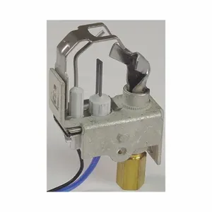 DAYTON 1VLD5 Ng Pilot Burner | AB3WBN