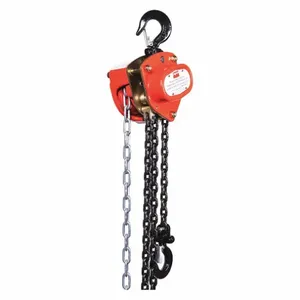 DAYTON 1VW51 Manual Chain Hoist 1000 Lb. Lift 10 Feet | AB3XQR