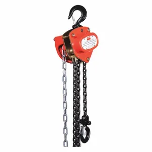 DAYTON 1VW52 Manual Chain Hoist 1000 Lb. Lift 15 Feet | AB3XQT