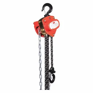 DAYTON 1VW53 Manual Chain Hoist 1000 Lb. Lift 20 Feet | AB3XQU